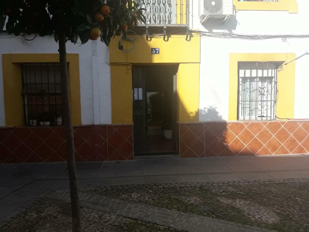 Apartamento My Small Penthouse With Views.tourism & Tranquility & Sun Córdoba
